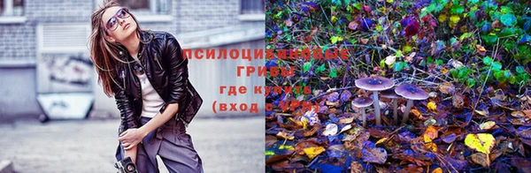 круглые Богородицк
