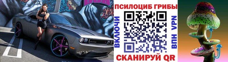 закладка  Кораблино  Псилоцибиновые грибы MAGIC MUSHROOMS 